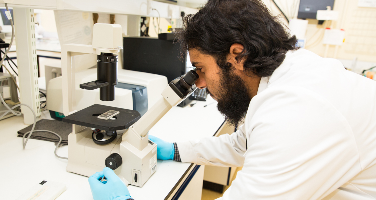 Light Microscope