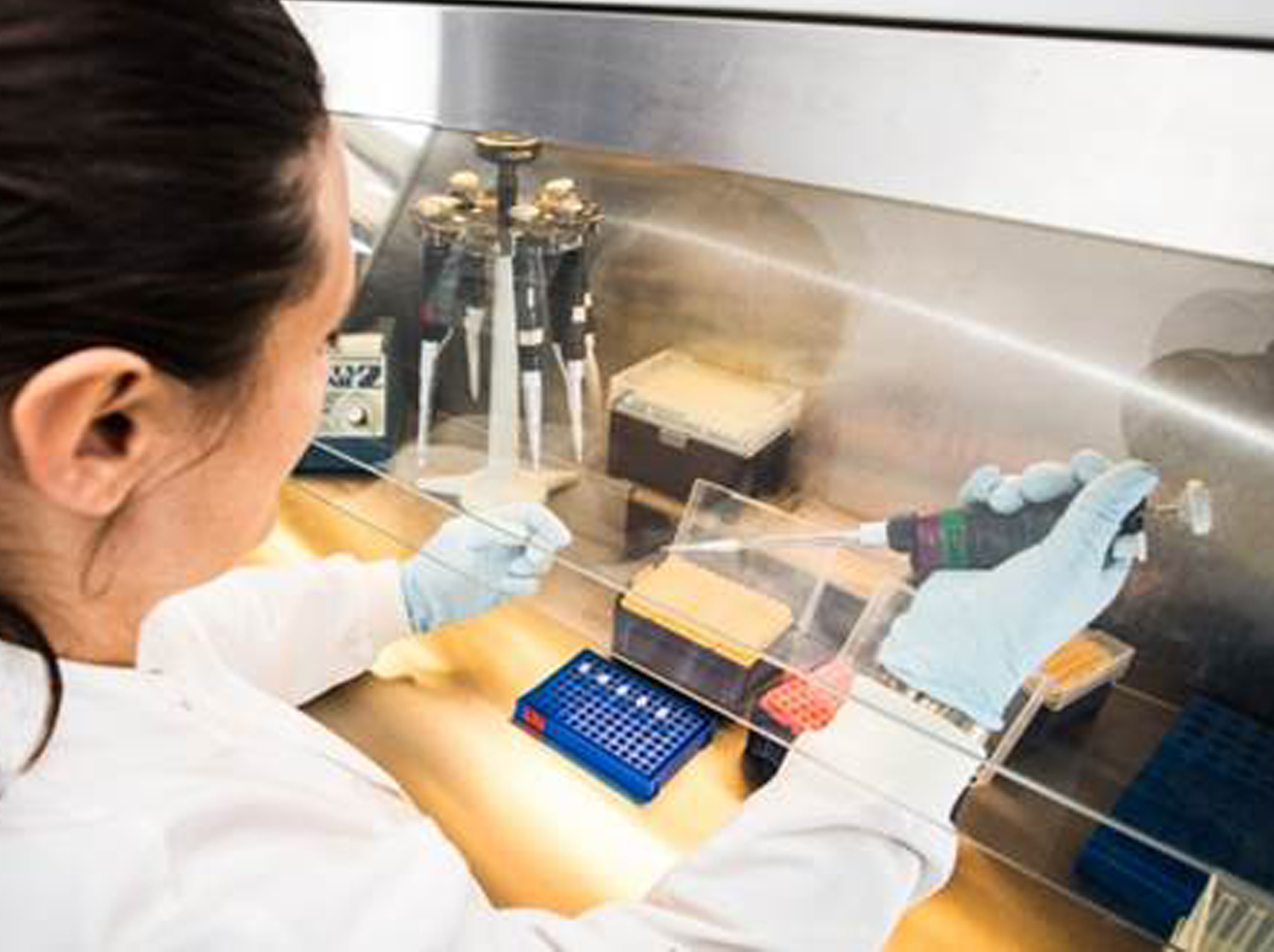 PCR
