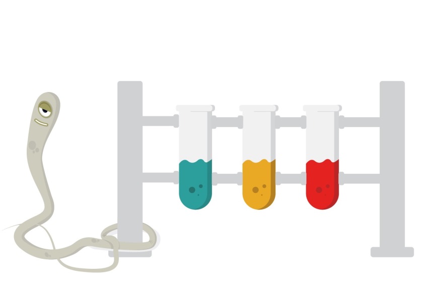 Virtual Laboratory