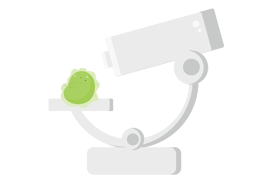 Virtual Laboratory