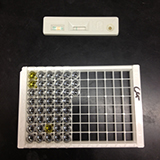 Joint EIA test for Giardia and Cryptosporidia